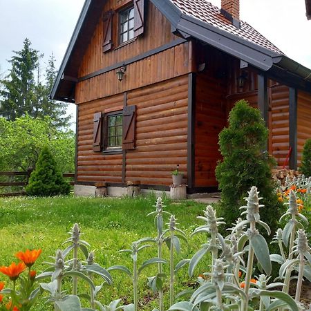 Brvnare Na Brdu Villa Sljivovica  Exterior photo
