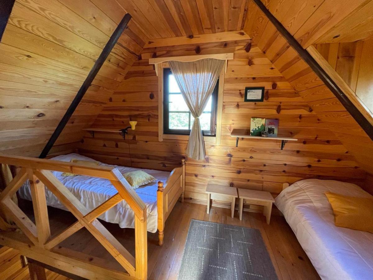 Brvnare Na Brdu Villa Sljivovica  Exterior photo