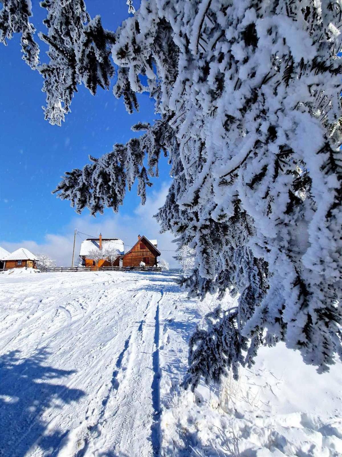 Brvnare Na Brdu Villa Sljivovica  Exterior photo