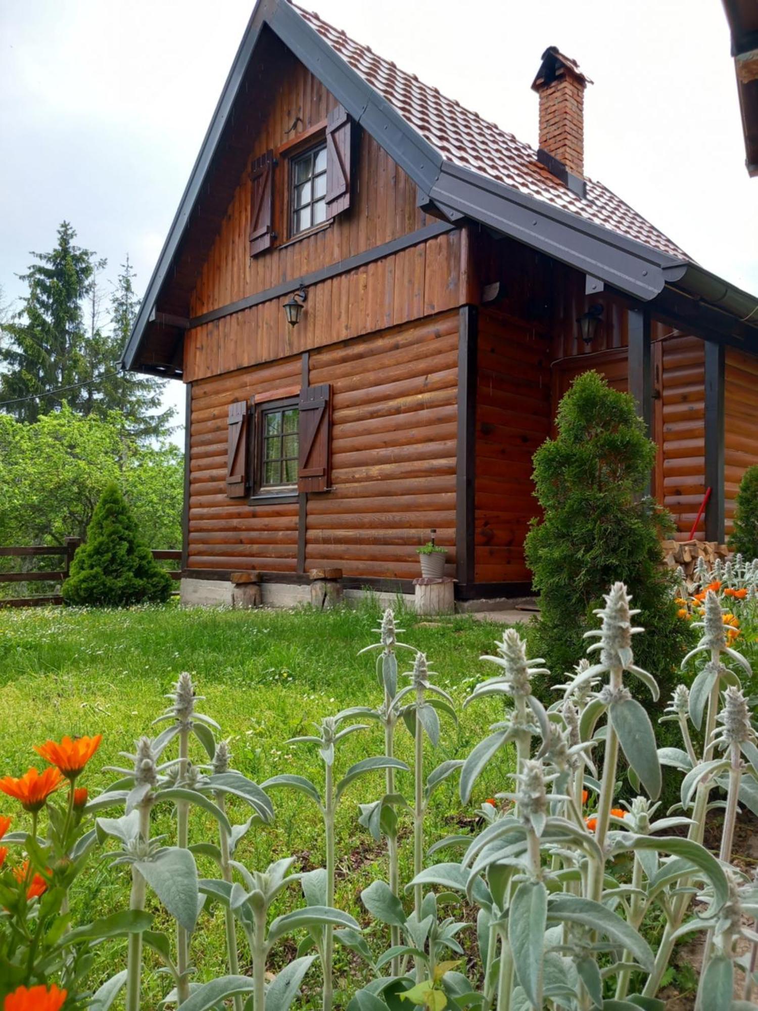 Brvnare Na Brdu Villa Sljivovica  Exterior photo